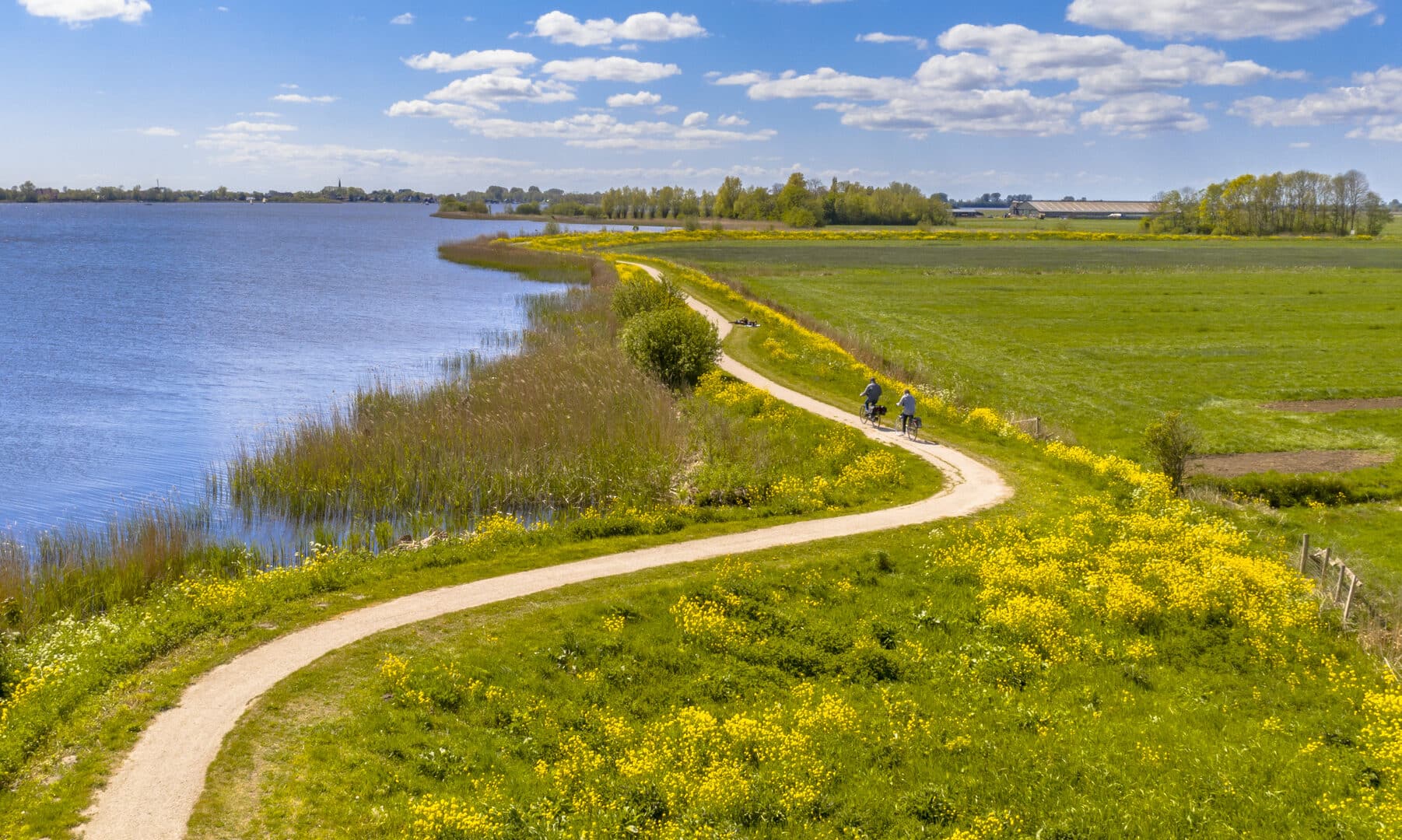 Rivier met dijk