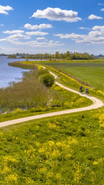Rivier met dijk