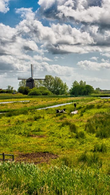 Weiland molen