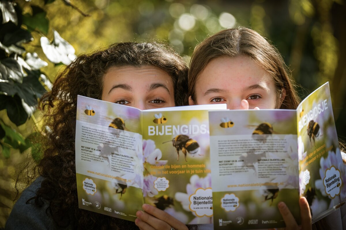 Nederland telt voor vijfde jaar bijen